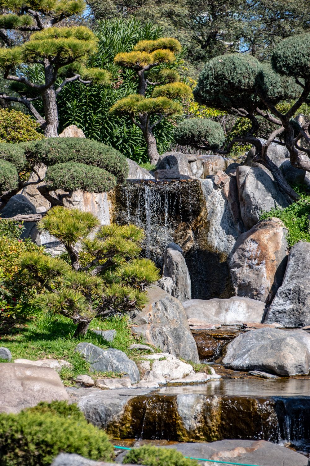 石組みと松、小さな滝のある日本庭園