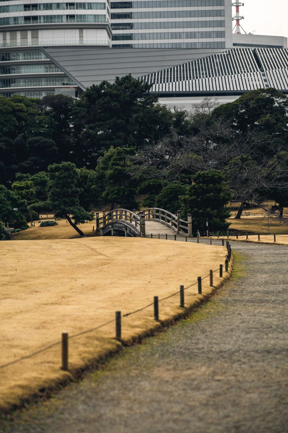 都心近くの日本庭園と橋